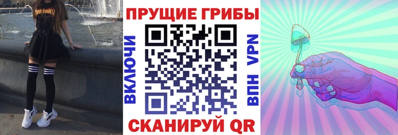 darknet состав  Кораблино  Псилоцибиновые грибы Psilocybine cubensis 